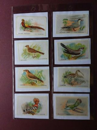 Birds {silk} Issued 1921 By G.  Phillips {bdv} Set M 100