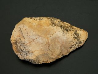 Biface Bifacial Large Hand - Axe Limestone Stone Age Tool