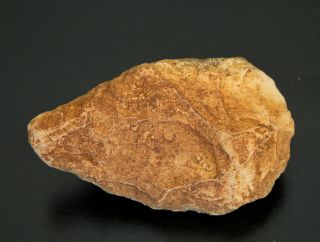 Biface Bifacial Large Hand - Axe Limestone Stone Age Tool 2
