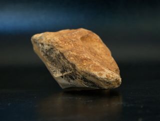 Biface Bifacial Large Hand - Axe Limestone Stone Age Tool 3