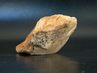 Biface Bifacial Large Hand - Axe Limestone Stone Age Tool 4