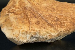 Biface Bifacial Large Hand - Axe Limestone Stone Age Tool 6