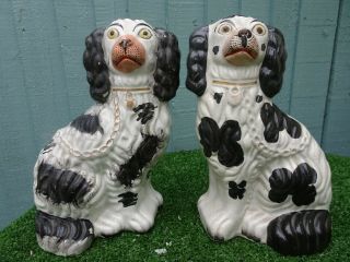 Pair: Mid 19thc Staffordshire Seated Black & White Spaniel Dogs C1850s