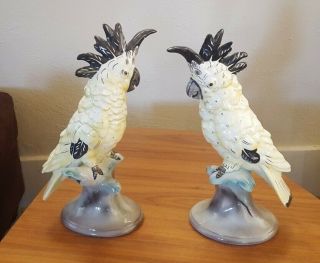Vintage Mcm Goldscheider Everlast Ceramic Bird Cockatoo Pair 1941 - 1947