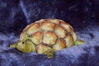 Home Grown Pineapple Turtle By Enesco 2005 4004842