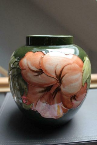 Vintage Signed Walter Moorcroft Large Hibiscus On Green Vase