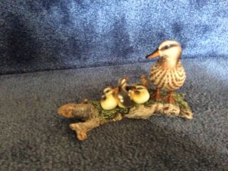MOTHER DUCK WITH 3 DUCKLINGS ON A LOG 3