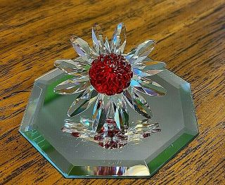 Swarovski Crystal Scs 2000 Renewal Red Marguerite Daisy Flower,  Box,  Swan Logo