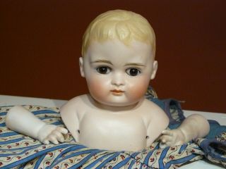 Vintage German? Porcelain Bisque Head & Shoulders Boy Doll