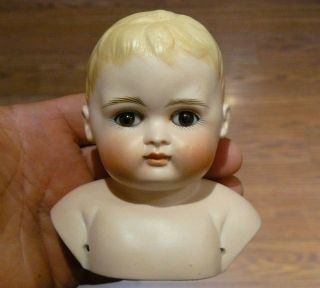Vintage German? Porcelain Bisque Head & Shoulders Boy Doll 2