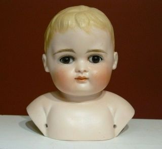 Vintage German? Porcelain Bisque Head & Shoulders Boy Doll 3