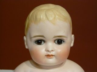 Vintage German? Porcelain Bisque Head & Shoulders Boy Doll 4