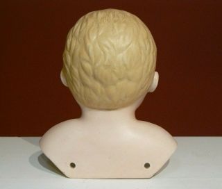 Vintage German? Porcelain Bisque Head & Shoulders Boy Doll 6