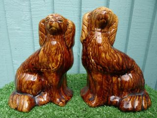 Pair: Mid 19thc Staffordshire Seated Treacle Glaze Spaniel Dogs C1850s