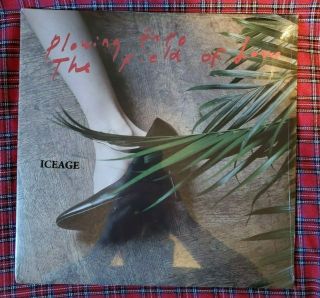 Plowing Into The Field Of Love 2xlp By Iceage Vinyl 2014 Ole - 1068 - 1