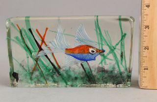 Vintage Italian Murano Gino Art Glass Aquarium Block Fish Tank Sculpture