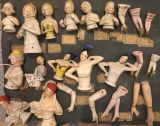 Antique German Hertwig Half Doll Dealer’s Samples Of 13 Upper Bodies Etc.