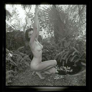 Joan Rawlings 1960s Nature Nude Model Bunny Yeager Archive 2 1/4 Camera Negative