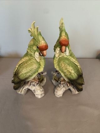 2 Cockatiel Parrot Porcelain Figurine Andrea By Sadek Japan 11 1/2 " High