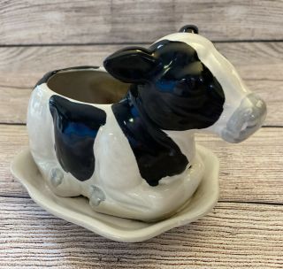 Black White Holstein Dairy Cow Planter Made In Malaysia Zcow Cdp 7 X 5 " Ceramic