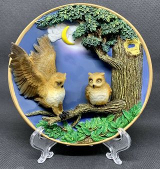 Cadona Vintage Ceramic 3d Owl And Moon 6 " Plate For Display Or Wall Hanging