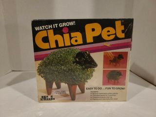 Vintage 1980’s Chia Pet Bull Handmade Decorative Planter Kit Open Box