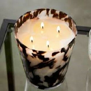 Partylite Tamboti Woods 4 - Wick Jar Candle