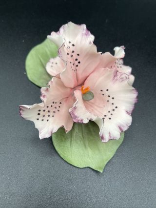 Capodimonte Porcelain Flower Iris Made In Italy