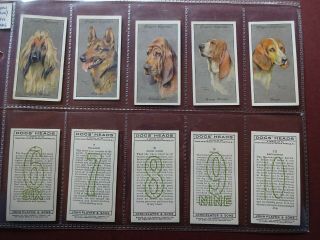 Dogs Heads (silver Background) Eire Issue 1940 By Players Set 50