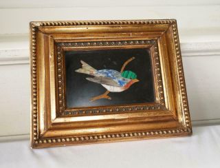 Antique Italian Pietra Dura Inlaid Stone Bird In Gold Gilt Wood Frame Plaque