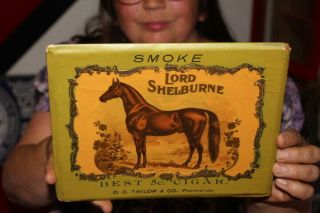 Rare Vintage C.  1910 Smoke Lord Shelburne Best 5c Cigars Tobacco Sign