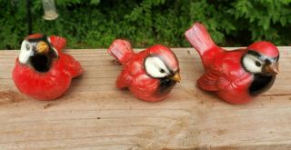 Vintage Goebel W.  Germany Red Cardinal Bird Porcelain Figurines Set Of 3