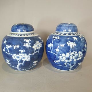 (b) Large Antique Chinese 19th C Kangxi Style Blue & White Prunus Jars