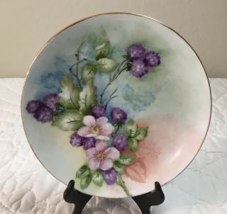 Vintage Porcelain China Plate,  Hand Painted,  Leaves,  Berries,  Flowers
