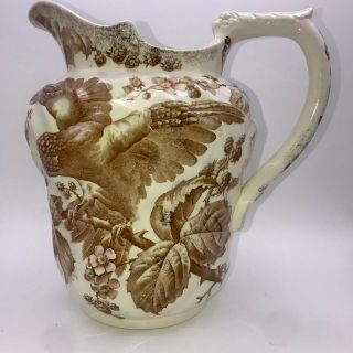 Antique Brown Westhead Moore & Co Transferware Large Pitcher Woodpecker Numbered