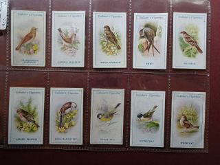British Birds By George Rankin Issued 1923 By Gallaher Set 100