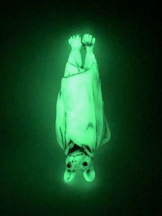 Harmony Kingdom Ar Neil Eyre Designs Halloween Glow In Dark Vampire Bat Crystals