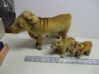 Vintage 1950s/60s Steiff Oxy The Ox Set Of (3) 13 " & 5 " (made In Us Zone - German