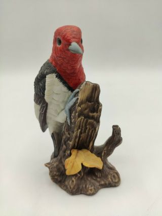 Vtg Red Headed Woodpecker John James Audubon Porcelain Figurine