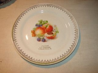 Fruit Design Plate Compliments Of J.  C.  Dieckinan East Mauch Chunk,  Pa