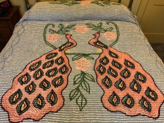 Vintage Blue Cotton Chenille Peacock Bedspread Full/queen