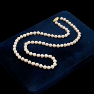 Antique Vintage Deco 14k Yellow Gold Saltwater Akoya Pearl Beaded Necklace 16.  4g