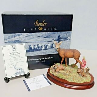 Border Fine Arts " In A Sunny Glade " Deer Country Figurine,  (boxed) - 250