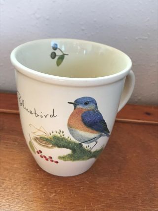 Cj Wildlife Marked Eastern Bluebird Hot Chocolate Coffee Mug Cup – 4 And 1/8th’s