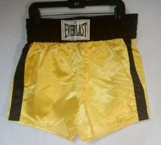 Everlast Vintage Acetate Satin Boxing Trunks Shorts Large Made In Usa 70s