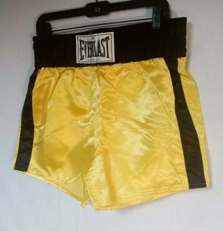 Everlast Vintage Acetate Satin Boxing Trunks Shorts Large Made In USA 70s 2