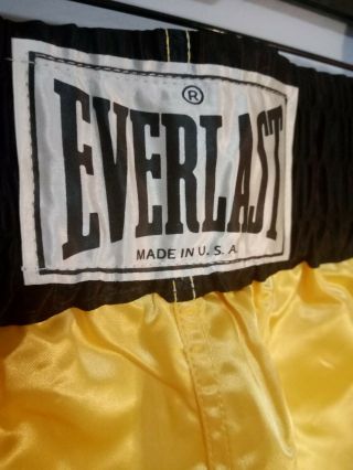 Everlast Vintage Acetate Satin Boxing Trunks Shorts Large Made In USA 70s 3