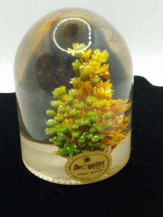 Vintage Daisyglas Company Lucite Paper Weight Real Flowers