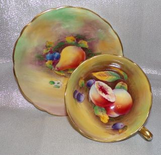 Stunning Vintage Paragon China Hand Painted Orchard Fruits Cup & Saucer Signed 2