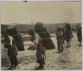 Vintage 1930s Hummas Or Load Carriers Persia Iran Photo By Century Photos